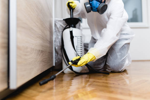Best Pest Removal Services  in Eldridge, IA
