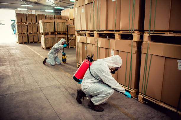 Trusted Eldridge, IA Pest Control Experts