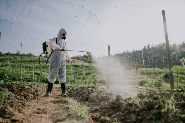 Best Mosquito Control Services  in Eldridge, IA