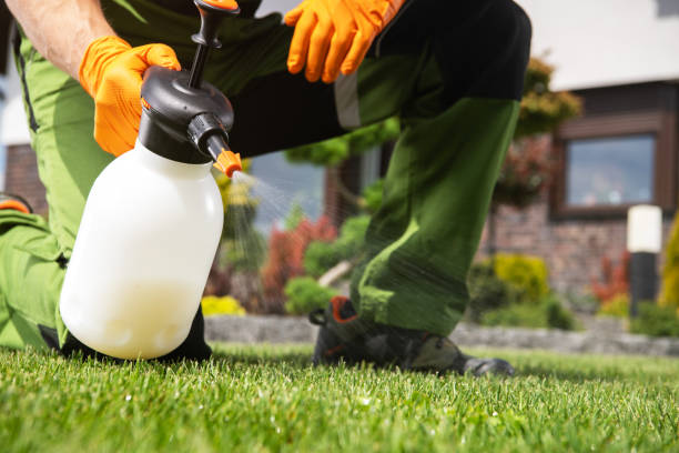 Best Termite Control Services  in Eldridge, IA