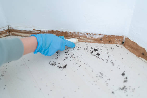Best Best Pest Control Companies  in Eldridge, IA